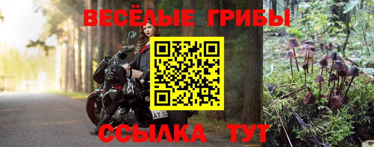 Кизляр  Галлюциногенные грибы GOLDEN TEACHER  Вход с VPN  Галлюциногенные грибы Magic Shrooms 