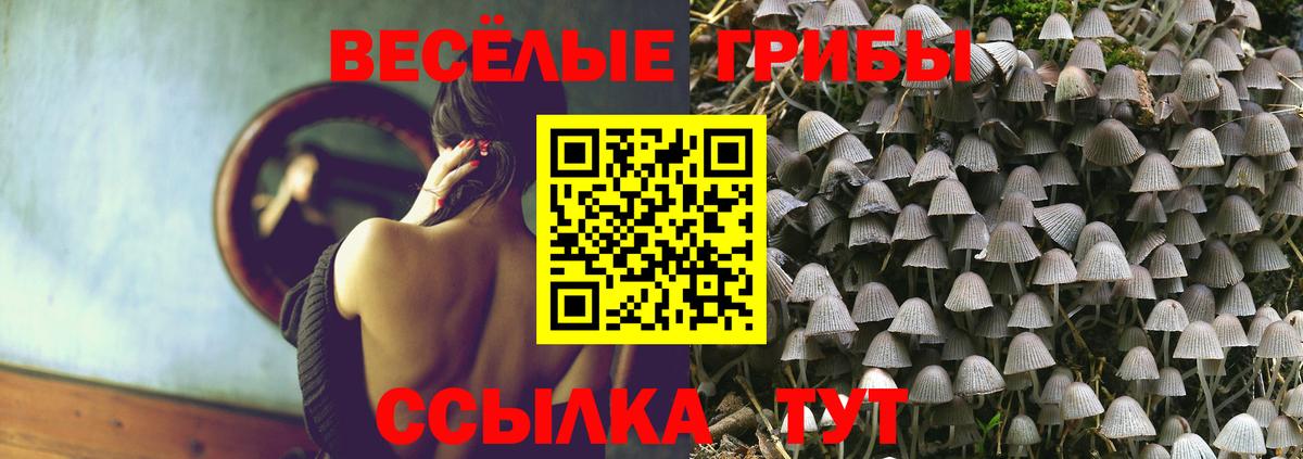 Галлюциногенные грибы ЛСД Кизляр